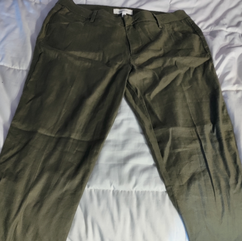 Size 31 Level 99 Linen Blend Slacks